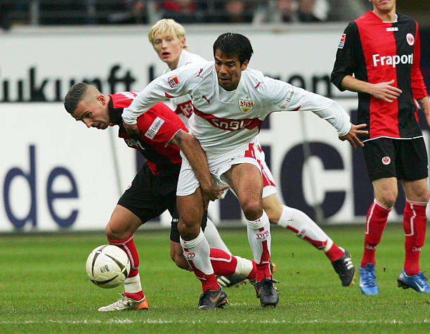 这一消息已 这一消息已